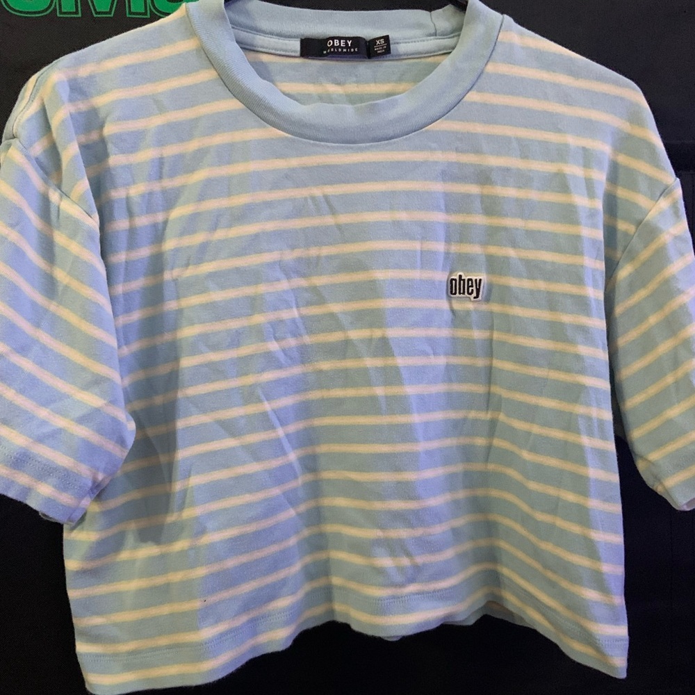 Obey Stripped Cropped Top